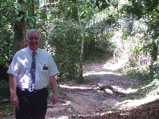 The Jungle Path